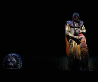 Liz Masakayan: Bouncing Volleyball Courts and Positions