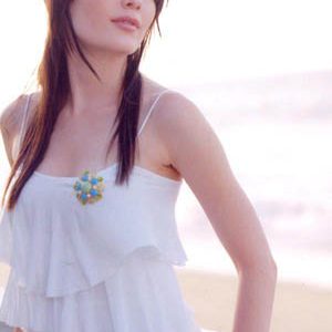 Celeste Thorson and her perfect Asian American heritage